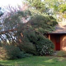 Tips On Getting Emergency Roof Repairs After Storm Damage