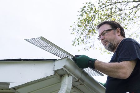 Gutter leaf protection